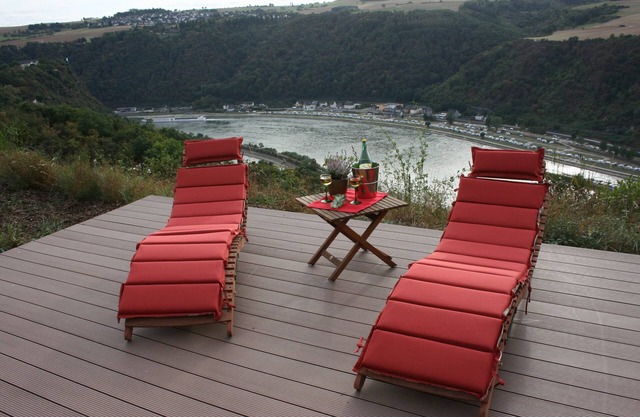 Loreley Hills- très confortable appartement 5 étoiles situé directement sur la Lorelei