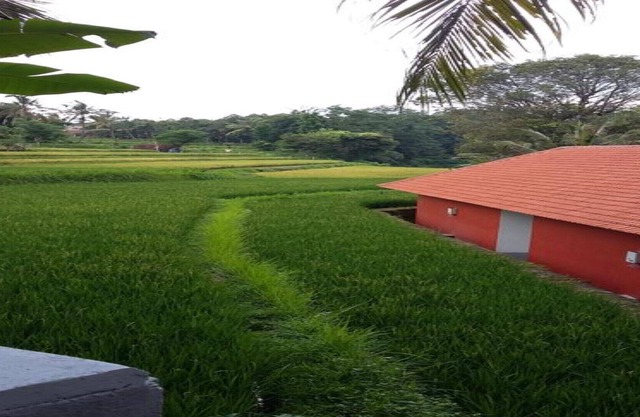 Lotus Guesthouse Sudaji: un lieu naturel et unique au nord de Bali.
