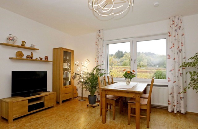 Bel appartement avec WIFI, TV, terrasse, animaux admis, vue panoramique et parking