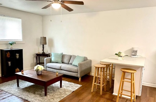 LOVELY AND COMFORTABLE APARTMENT, PETS WELCOME