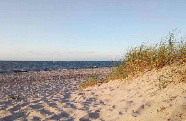 Bel appartement à Neubukow, près de la mer