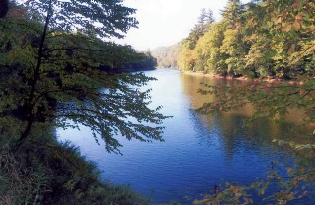 Lovely cabin with perfect view of Clarion river in charming Cooksburg