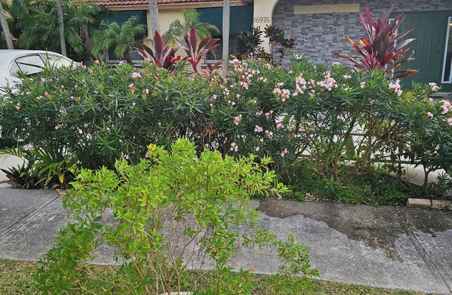 Lovely cozy house with pool in a quiet safe family neighborhood