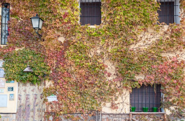 Belle maison à Arenas del Rey avec WiFi