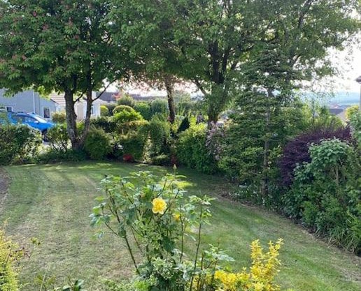 Lovely self contained annex.