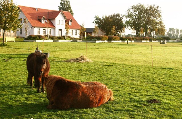 Ferme rénovée avec amour sur éco-ferme - à seulement 1 km du ferry Rügen