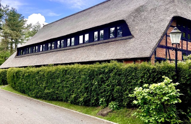 Lovingly furnished apartment in the Heidehaus, pure nature - next to the golf course.