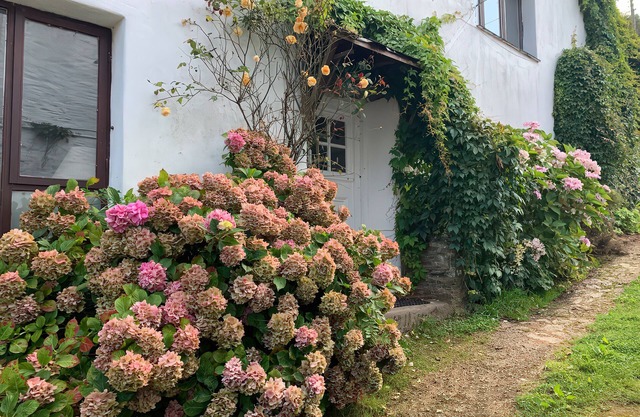 LOWER MILL, pet friendly, character holiday cottage in Dittisham