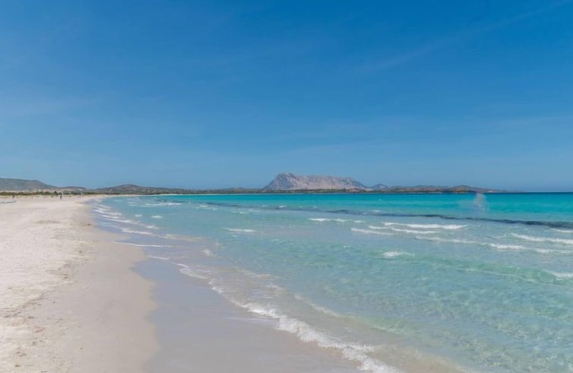 Appartement Lu Fraili (TEO220) à San Teodoro - 4 personnes, 1 chambres