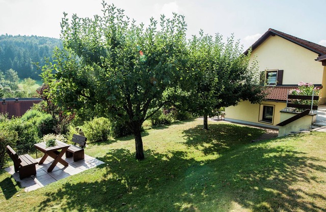 Appartement spacieux à Plankenstein, près de la forêt