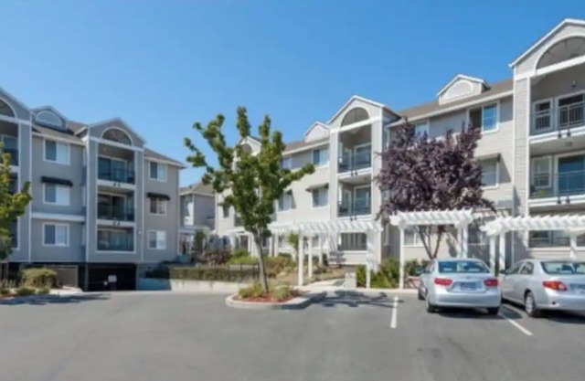 Luxueux Apt 10 minutes - Stanford Uni / PA downtown