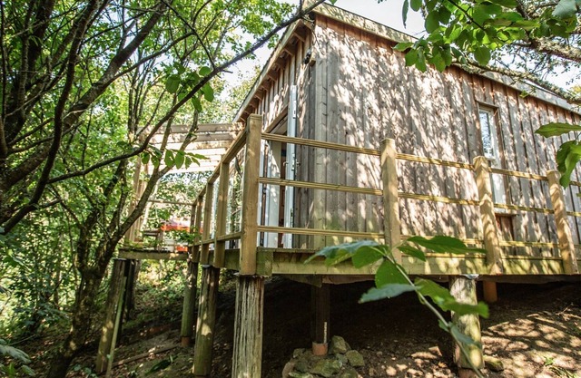 Luxurious eco treetop cabin 5 mins from the beach