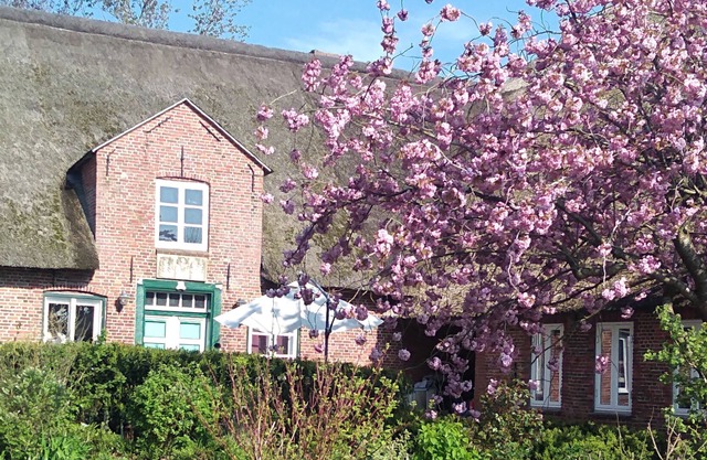 Vie luxueuse sous le chaume dans une ancienne ferme historique