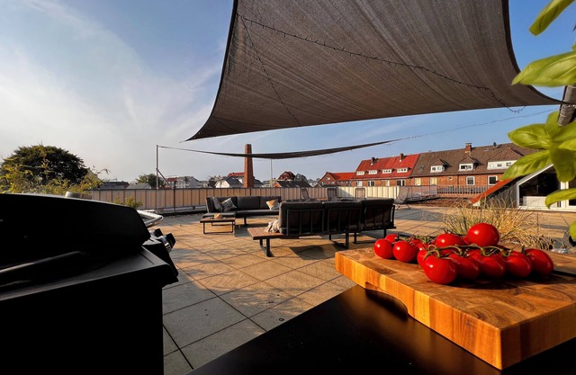Luxurious penthouse apartment 200sqm in the Lotsenviertel 5 min to Altenliebe