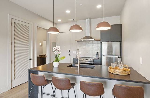 Luxury 1 Bed 1 Bath w/Private Rooftop City Views & Parking