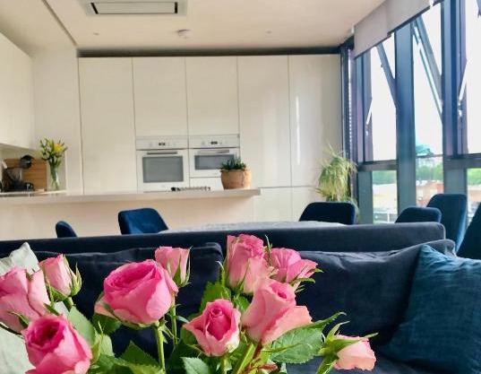 Luxury 2 bedroom apartment 20 min from central London