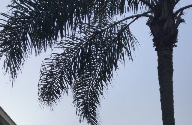 Luxe et tranquillité face à la mer dans la cascade Bom Jesus