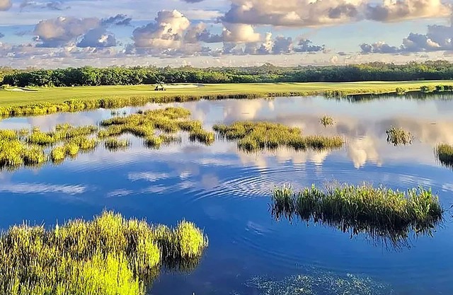 River Strand Condo on Lake & Golf Course.