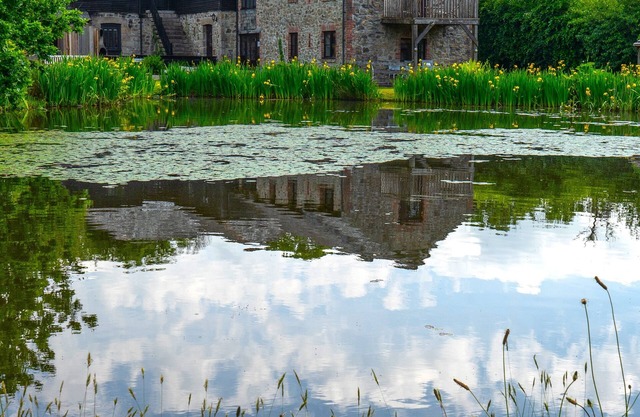 Luxury Lakeside Cottages dormir 19+ avec pêche, bains à remous et laissez-passer du club de santé
