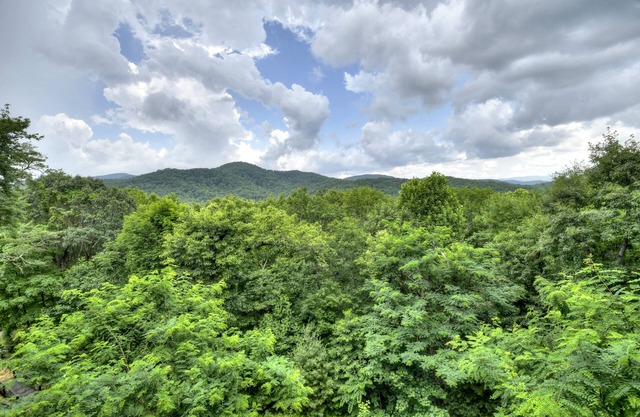 Luxury lodge/cabin in Blue Ridge with long range mountain views