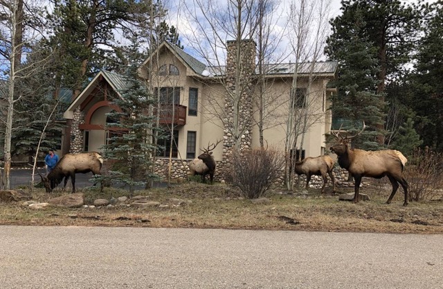 Luxury Mountain Home on Fall River!RV Gargage,Huge Hot Tub&Deck-RiverHouse, Estes Park CO