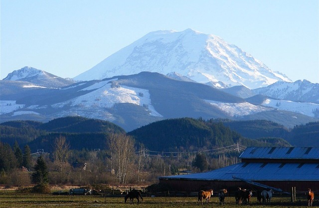 Luxe de style nord-ouest près de la porte d'entrée du mont Rainier et des forêts nationales