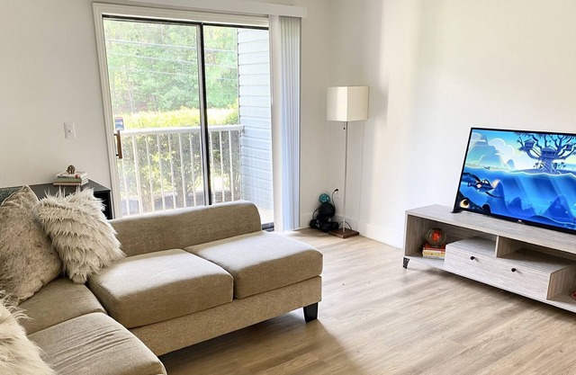 Luxury One Bedroom Apartment