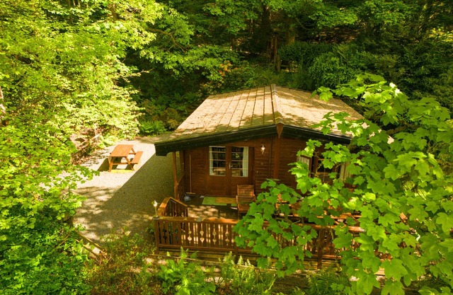 Luxe Pinelog Cabin