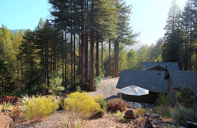 Complexe résidentiel de luxe Redwoods w / Hot Tub et Fire Pit