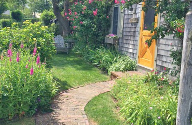 Cottage recouvert de roses de luxe