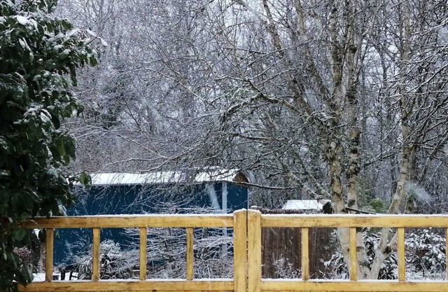 Luxury Shepherds Hut Retreat in Devon near Exeter & Dartmoor. Views into woods.