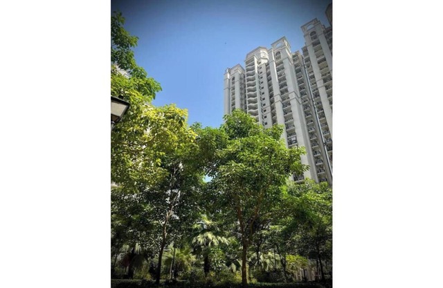 Luxury Studio Apt in Dlf Capital Greens West Delhi