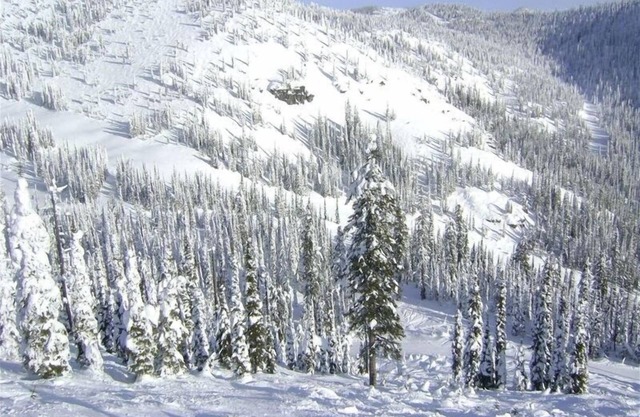 Maison de ville de luxe: Ski-in Ski Out à Whitefish Mountain Resort