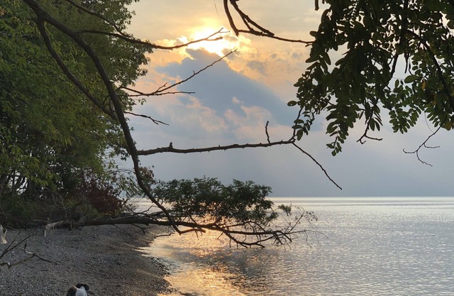 Luxueuse maison au bord du lac avec plage privée