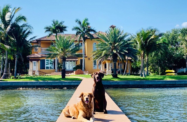 Nouvelle Annonce Luxury Waterfront Estate