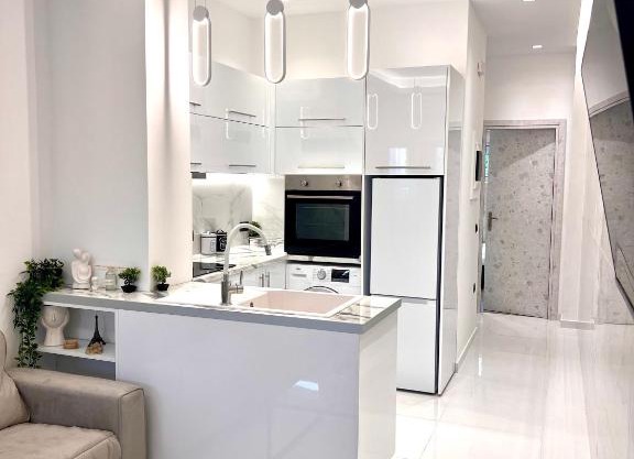 Luxury White interior Apartment