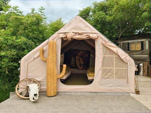 Luxuszelt in einer Pferdeherde