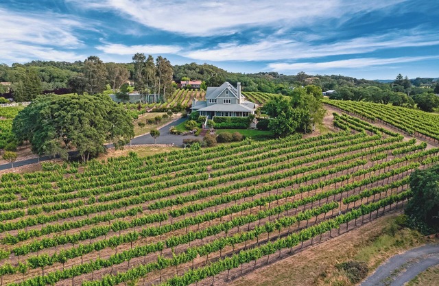 Vue imprenable sur le vignoble à 360 degrés