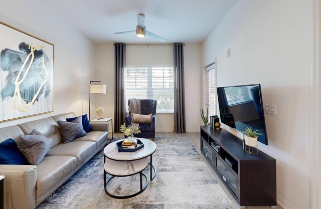 H4N M South - 1 Bedroom Apartment in South Tampa