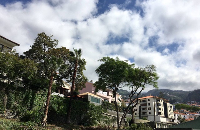 Madeira 4 You, appartement, centre ville, Parking gratuit