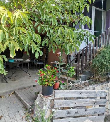 Magdolna szállás