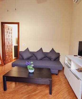 Magnifico Apartamento tipo Dúplex en Triana