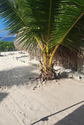 Mahana Tua Lodge Huahine