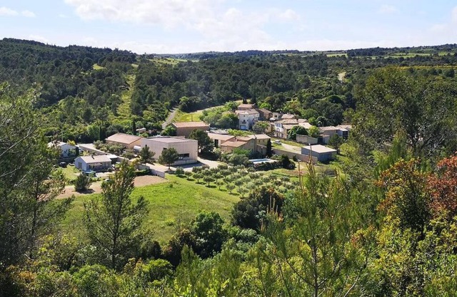 Maison au milieu des vignes