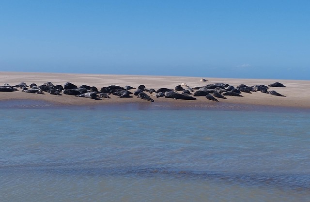 Maison de Campagne à 10 Minutes à Pied de la Plage