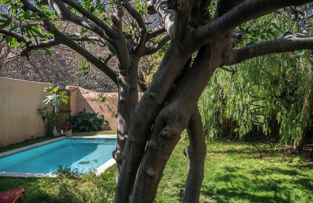 Maison Authentique Coeur de Village Jardin Arboré Piscine, à 15 mer !
