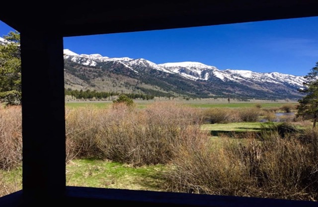 Des vues majestueuses sur Teton!