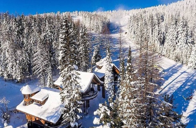 Luxe Treehouse; Steps to Hope Slope; true ski in/ski out; Hot Tub; PS5