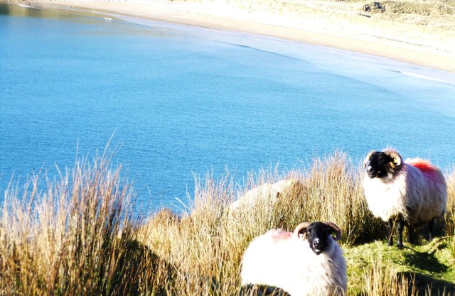 Malin, Donegal - 4 Famille Double Bedroomed Modern Home dans la belle Inishowen.