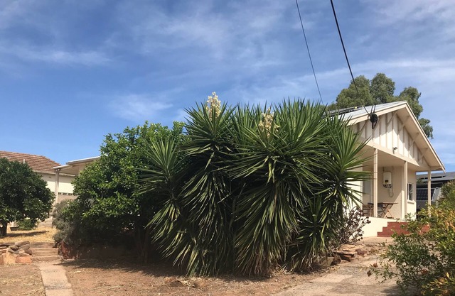 Mannum Cottage